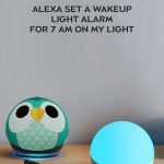 Echo Glow - Multicolor Smart Lamp