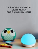 Echo Glow - Multicolor Smart Lamp